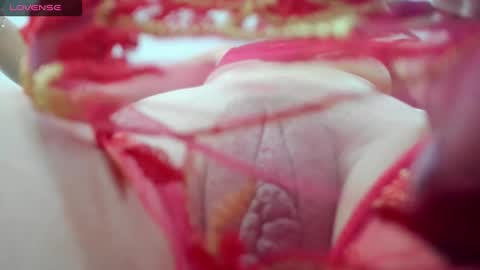 Snapshot of holly_little2 chatting on December 19, 10:21 pm Sophie online show from December 19, 10:21 pm