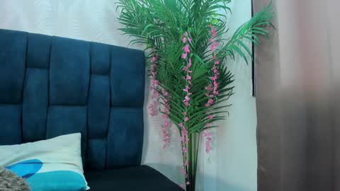 holly online show from November 24, 7:13 pm