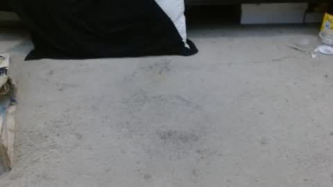 Snapshot of hollyhawkes chatting on January 30, 4:27 am Holly Hawkes online show from January 30, 4:27 am