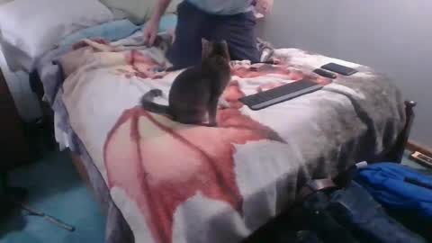 Snapshot of homer4038 chatting on October 4, 12:41 am Sebastians Mess online show from October 4, 12:41 am