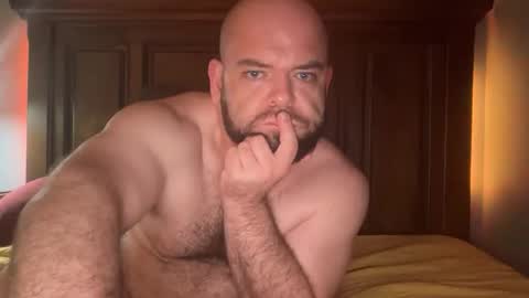 hornazzbear online show from December 1, 8:30 am