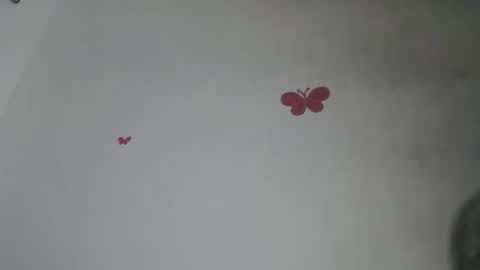 Iris online show from November 10, 7:57 pm