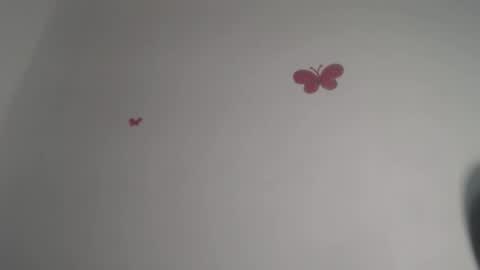 Iris online show from November 30, 7:40 pm