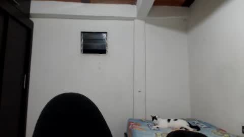 angels online show from November 23, 5:40 am