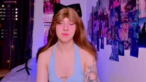  Next stream 28112024 8 GMT 3 online show from January 20, 7:46 pm