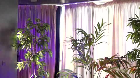 Snapshot of hotbustybabex chatting on September 21, 6:15 am Anais online show from September 21, 6:15 am