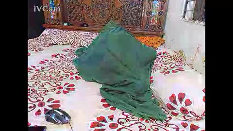 Hotcapolx online show from November 24, 5:34 pm