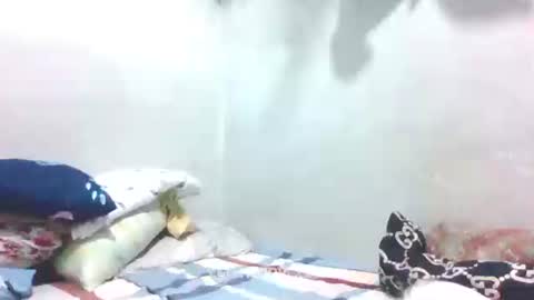 hotlavender online show from January 27, 4:09 am