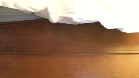 hotmuff99 online show from February 11, 8:58 am