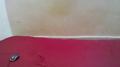 hotpussy1225 online show from November 10, 8:13 am