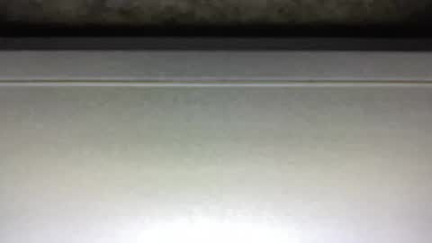 Snapshot of hotsexythighs chatting on February 5, 3:23 am Jack online show from February 5, 3:23 am