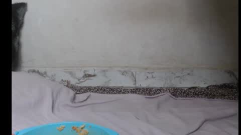 hottylissa1 online show from September 26, 8:35 pm