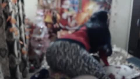 hugeassdevil online show from January 23, 5:42 pm