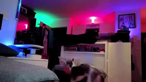 Hugo online show from February 25, 8:41 pm