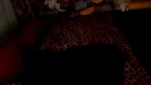 MADAM  MISTRESS ASIANA online show from December 26, 2:27 pm