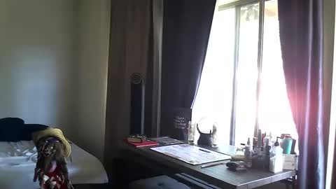 PMS online show from October 13, 3:45 pm