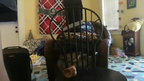 idksohorny online show from December 20, 4:36 pm