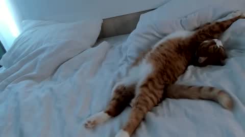 Snapshot of imogensy chatting on February 20, 9:00 am my name Imo Fansly online show from February 20, 9:00 am