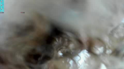 Snapshot of inksync_xc chatting on February 8, 8:42 pm cesar and daniela online show from February 8, 8:42 pm