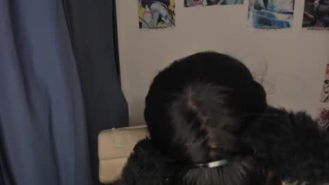 isa 3 online show from March 3, 2:47 am