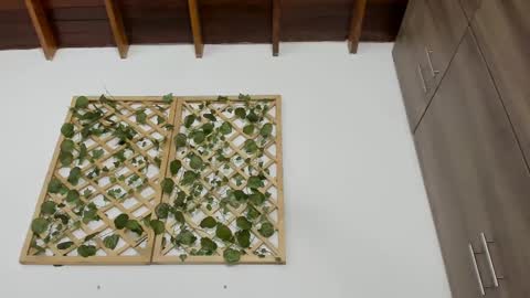 Isabella online show from February 13, 10:22 pm