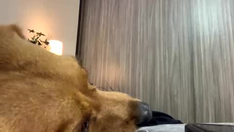 Isa online show from October 7, 1:47 am