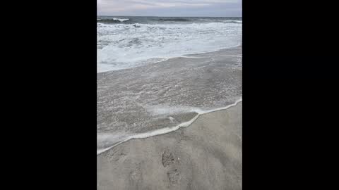 Jim online show from March 2, 6:19 pm