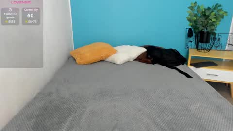 Snapshot of issa_nassar chatting on February 27, 12:23 pm Issa online show from February 27, 12:23 pm