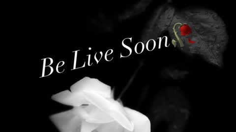 Ivy Rosie online show from November 20, 3:12 pm