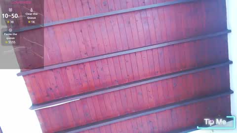   online show from February 4, 5:12 pm