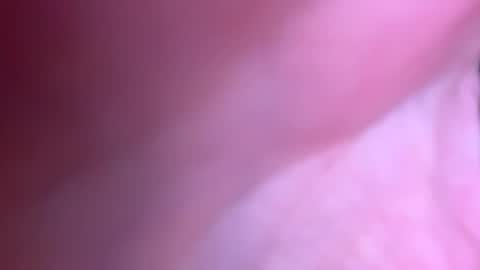 jackjackerman online show from October 21, 5:02 pm