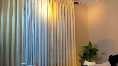 Jackson Bell online show from December 19, 1:07 pm