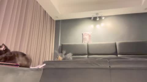 jacolandia online show from February 23, 6:56 pm