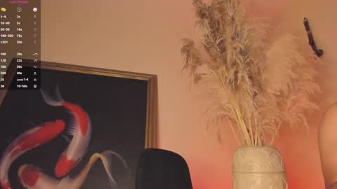 Snapshot of james_carter7 chatting on December 20, 2:29 am Juan online show from December 20, 2:29 am