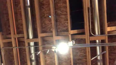 jamie19905 online show from October 29, 2:25 am