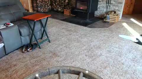 janeen- online show from February 10, 4:47 pm