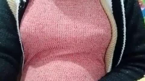 jasspreettt online show from January 4, 5:48 am