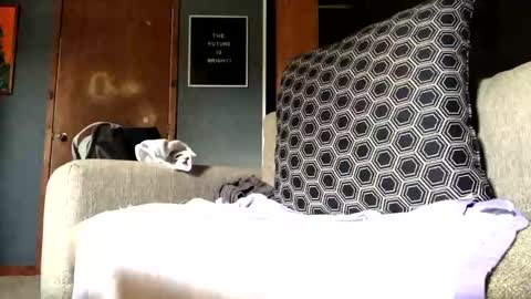 Jaws  online show from September 10, 7:25 pm