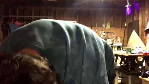 Jaws  online show from September 27, 3:55 am