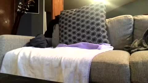 Jaws  online show from November 18, 7:29 pm