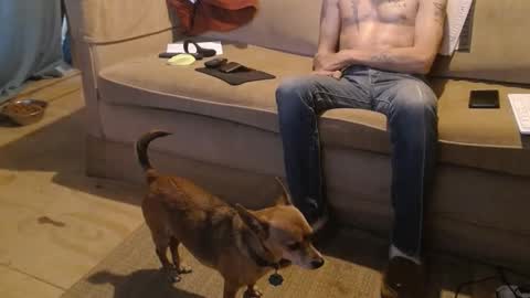 O F   jay short786 online show from February 22, 11:24 pm