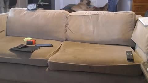 O F   jay short786 online show from March 1, 7:04 pm