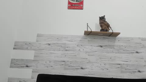 Jaycreedd online show from February 18, 6:47 pm