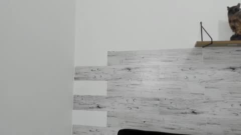 Jaycreedd online show from February 22, 6:28 am