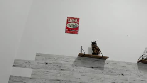 Jaycreedd online show from March 8, 2:34 am