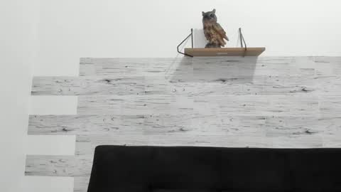 Jaycreedd online show from September 10, 3:39 am