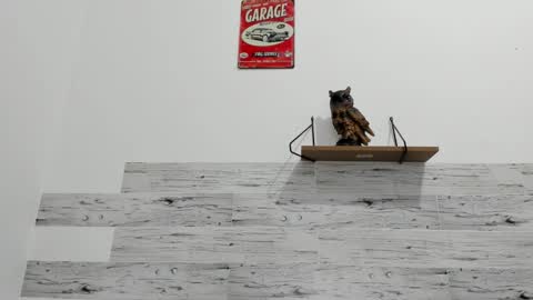 Jaycreedd online show from September 11, 12:33 am