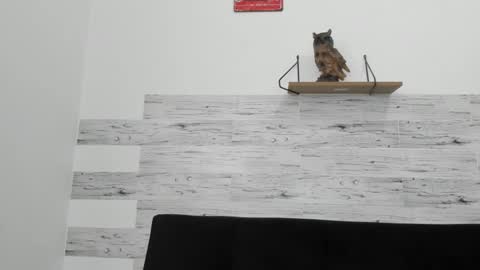 Jaycreedd online show from September 30, 4:56 pm