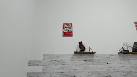 Jaycreedd online show from November 30, 8:13 pm