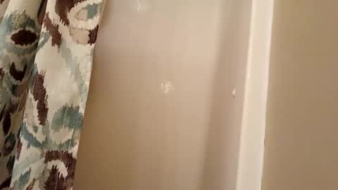 jaywulf22 online show from November 4, 4:33 am